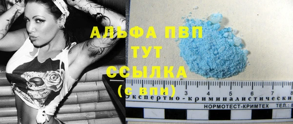 твердый Заводоуковск