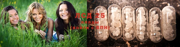скорость Арсеньев
