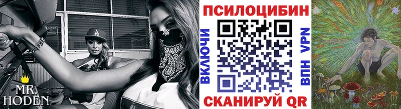 KRAKEN ТОР  Оленегорск  Галлюциногенные грибы прущие грибы 